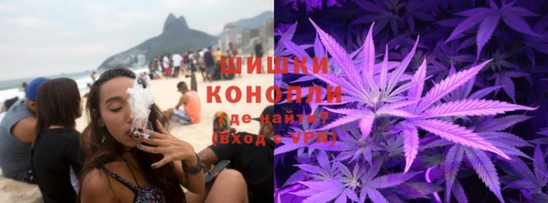 молекула духа Алзамай